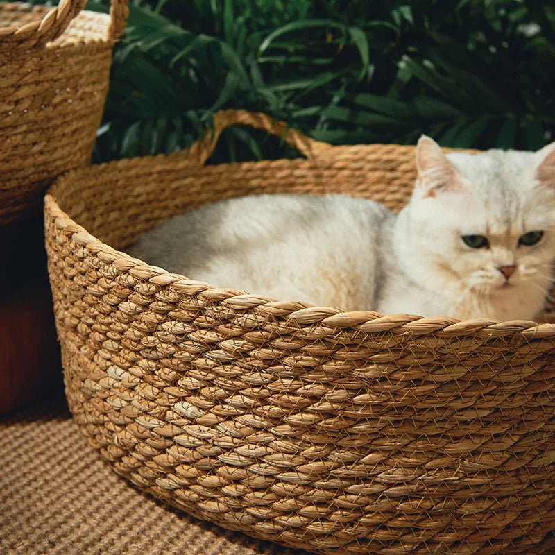 Handwoven Rattan Cat Bed Cozy Scratch Resistant Nest With Washable Pad