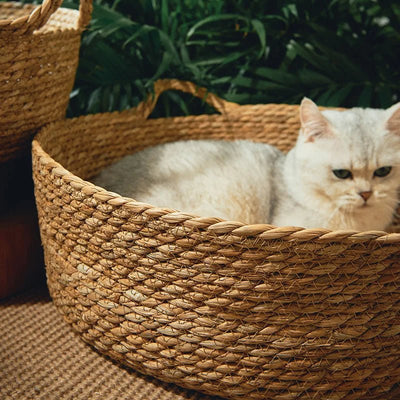 Handwoven Rattan Cat Bed Cozy Scratch Resistant Nest With Washable Pad
