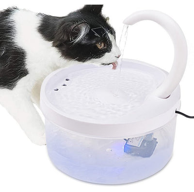 Cat Drinking Water Fountain For Fresh Hydration And Clean Water