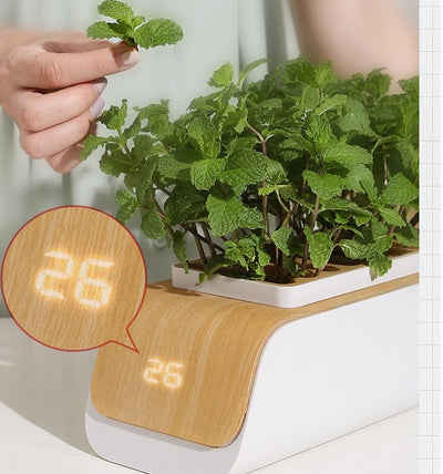 Hydroponic Flower Pot LED Indoor Plant Grow Container For Home Garden