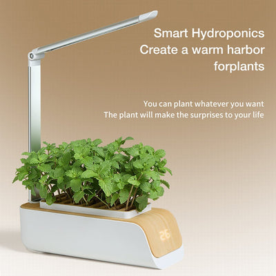 Hydroponic Flower Pot LED Indoor Plant Grow Container For Home Garden