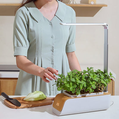 Hydroponic Flower Pot LED Indoor Plant Grow Container For Home Garden