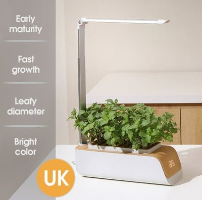 Hydroponic Flower Pot LED Indoor Plant Grow Container For Home Garden