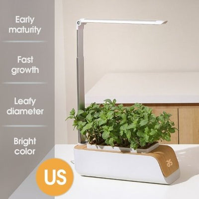Hydroponic Flower Pot LED Indoor Plant Grow Container For Home Garden