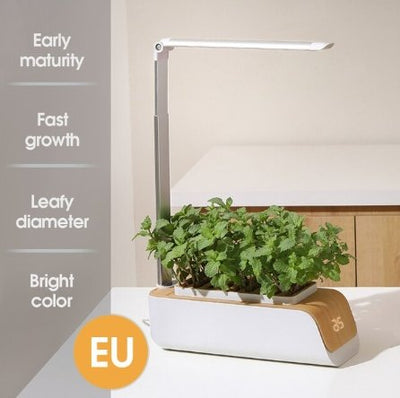 Hydroponic Flower Pot LED Indoor Plant Grow Container For Home Garden