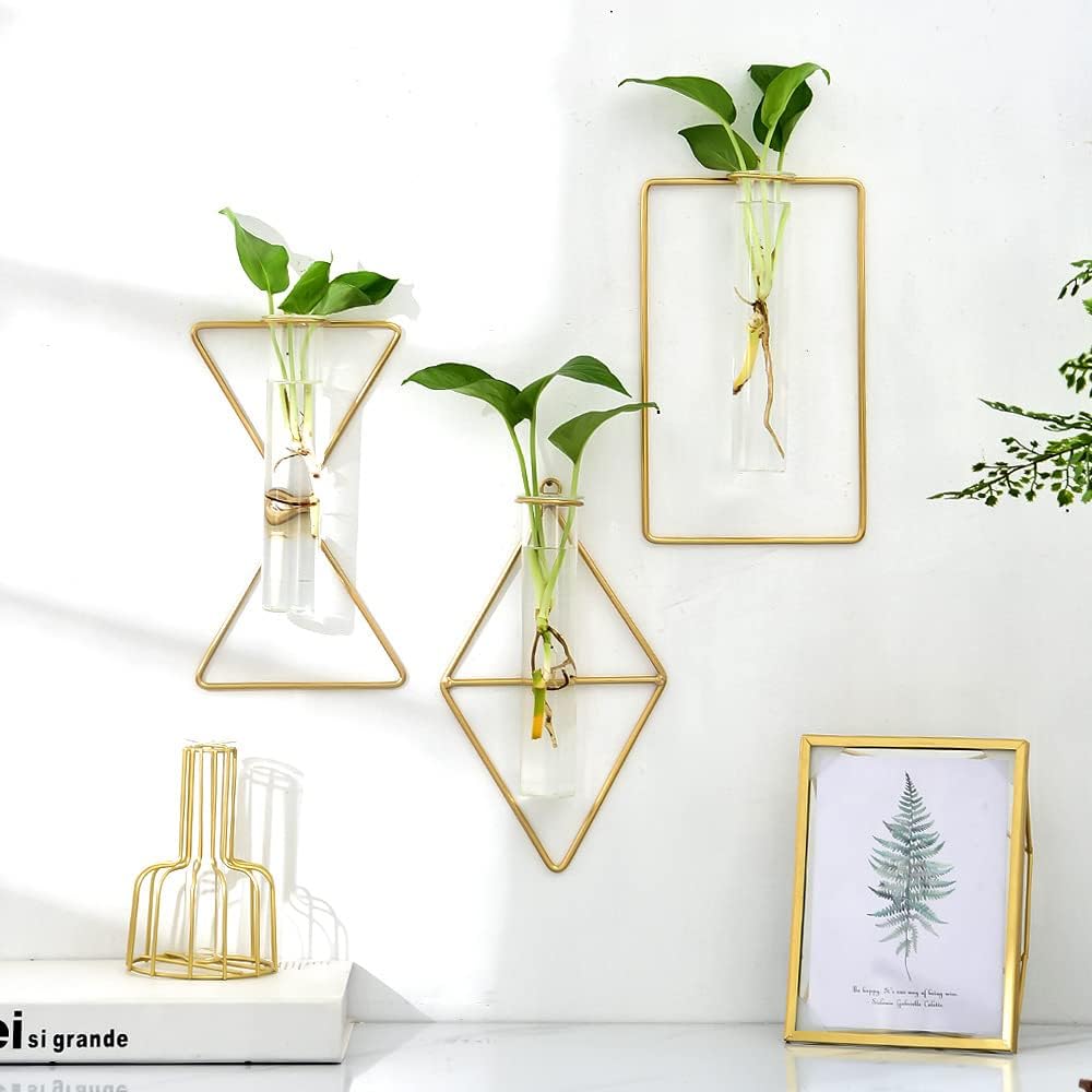 Hydroponic Wall Vase Plant Holder For Flower Arrangement Decor