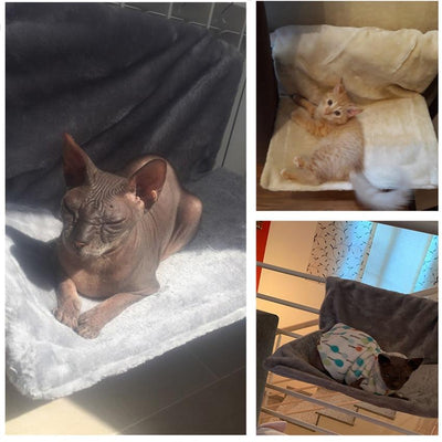 Instant Cat Hanging Bed Hammock Soft Cozy Resting Seat Lounge