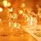 LED Deer Fairy Lights Battery Powered Christmas String Lights Decor