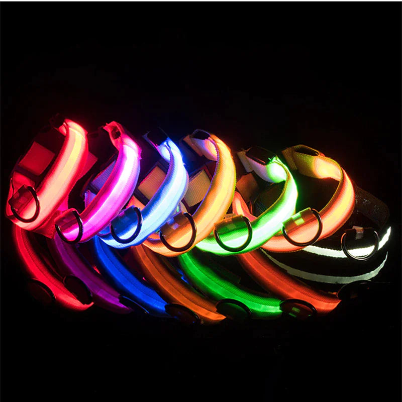 LED Dog Collar Adjustable Waterproof Blinking Safety Light For Pets