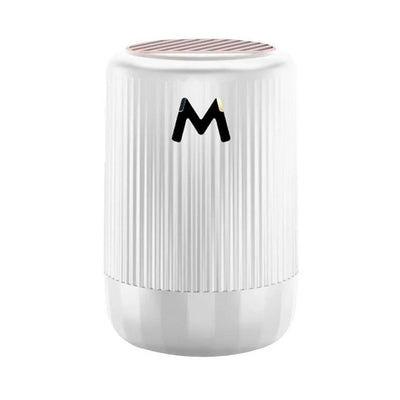 Microwave Car Deicer Vehicle Essential Oil Molecular Deicing Instrument