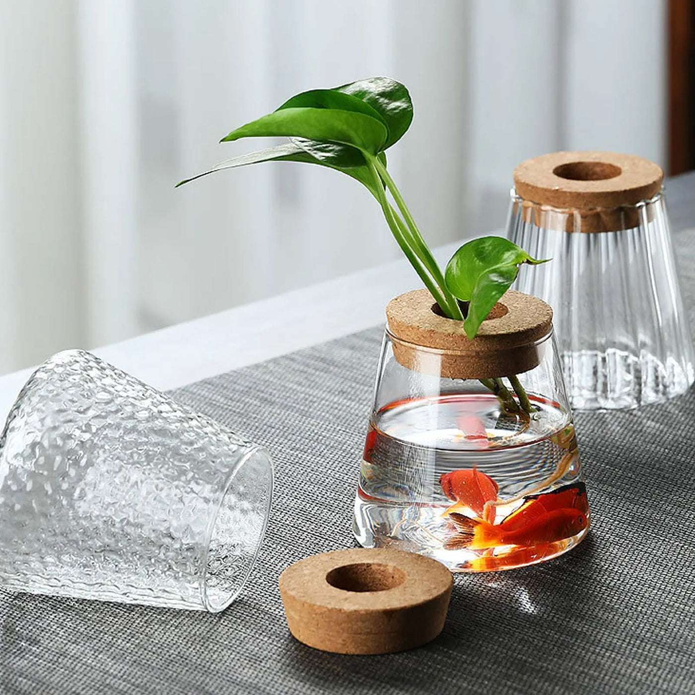 Mini Hydroponic Glass Flower Pot Transparent Stylish Soilless Planter