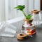 Mini Hydroponic Glass Flower Pot Transparent Stylish Soilless Planter