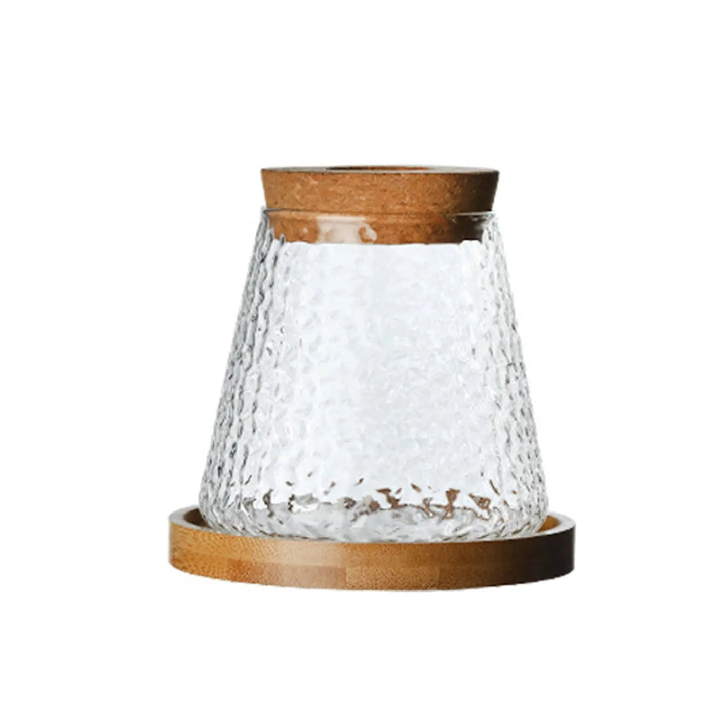 Mini Hydroponic Glass Flower Pot Transparent Stylish Soilless Planter