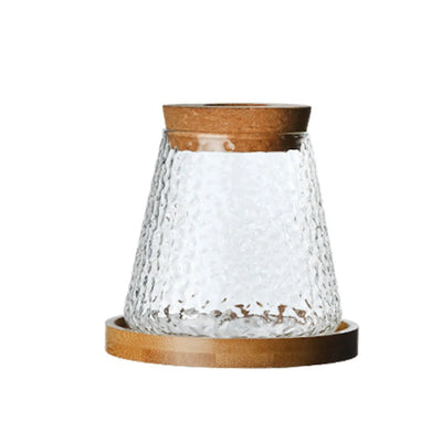 Mini Hydroponic Glass Flower Pot Transparent Stylish Soilless Planter