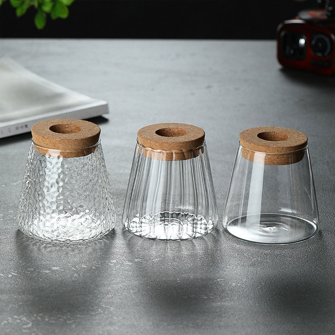 Mini Hydroponic Glass Flower Pot Transparent Stylish Soilless Planter