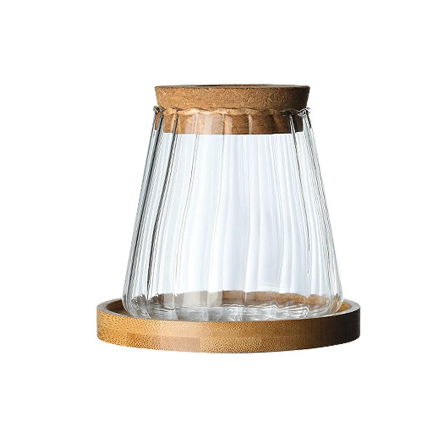 Mini Hydroponic Glass Flower Pot Transparent Stylish Soilless Planter