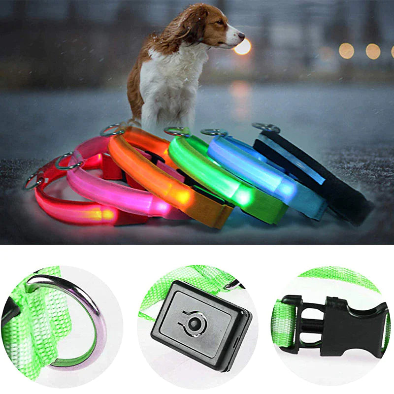 LED Dog Collar Adjustable Waterproof Blinking Safety Light For Pets