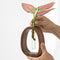 Natural Bamboo Flower Vase Glass Test Tube Wood Hydroponic Decor