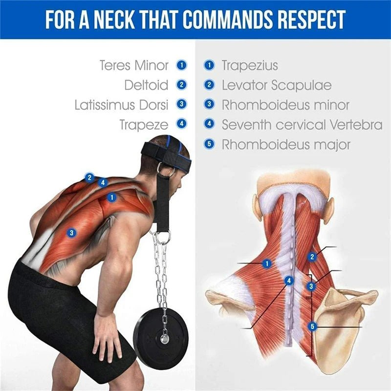 Neck Training Head Harness With Chain For Weight Lifting And Strength
