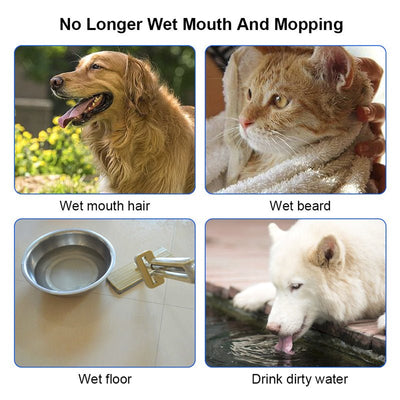 Never-Ever Spill Dog Water Bowl For Mess-Free Hydration