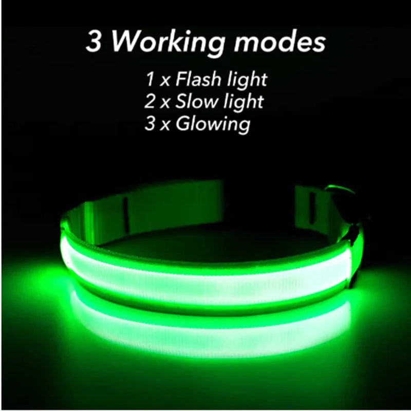 LED Dog Collar Adjustable Waterproof Blinking Safety Light For Pets