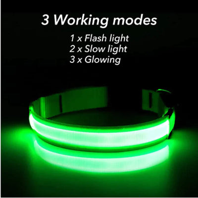LED Dog Collar Adjustable Waterproof Blinking Safety Light For Pets