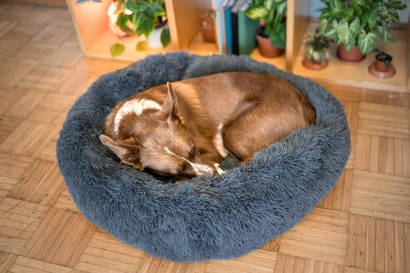 Self Warming Calming Dog Bed For Comfortable Relaxation