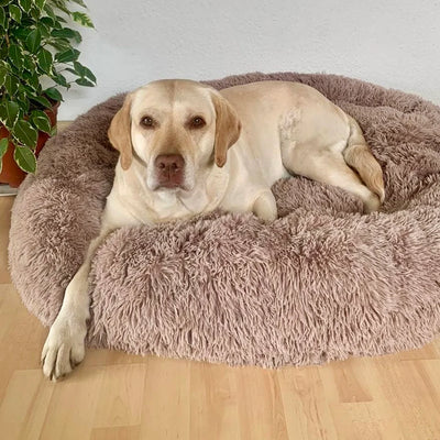 Self Warming Calming Dog Bed For Comfortable Relaxation