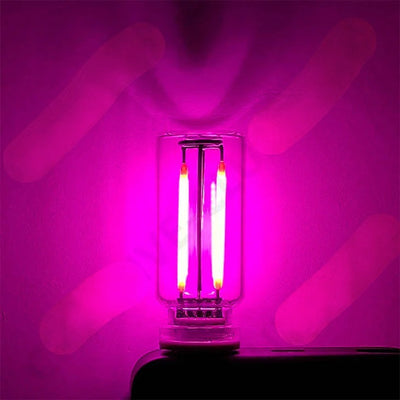 USB Touch-Control Incandescent Lamp Set Of 2 Warm Filament Bulbs 5V