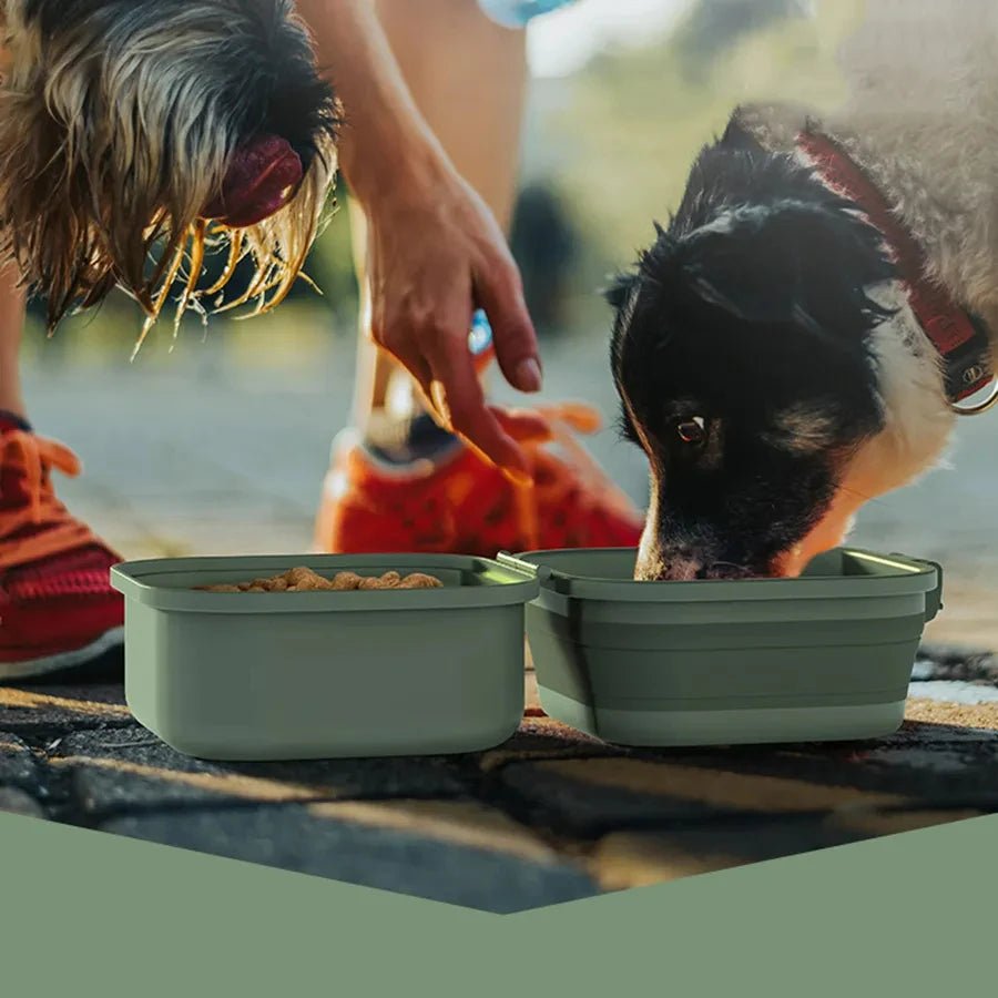 Portable Folding Double Pet Bowls Travel Feeder For Food And Water