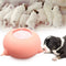 Portable Pet Milk Feeding Bowl For Puppies And Newborn Pets