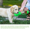 Portable Dog Water Bottle With Attached Pet Feeder For Travel