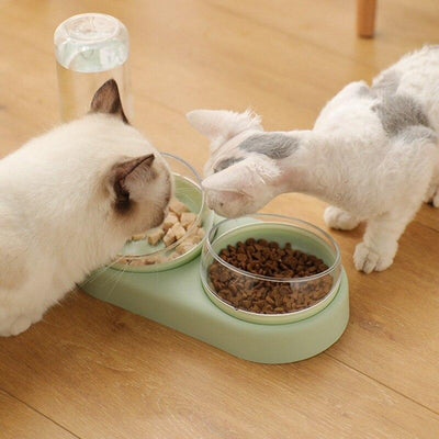 Automatic Pet Feeder Bowl For Convenient Timed Feeding
