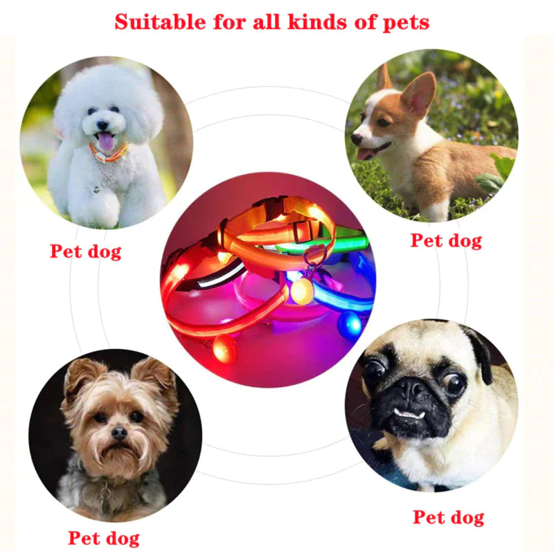 LED Dog Collar Adjustable Waterproof Blinking Safety Light For Pets
