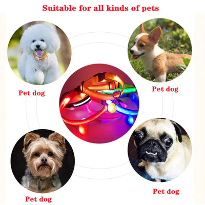 LED Dog Collar Adjustable Waterproof Blinking Safety Light For Pets