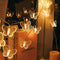 Radiant 20LED Fairy Lights With Dragonfly Butterfly Dandelion Decor
