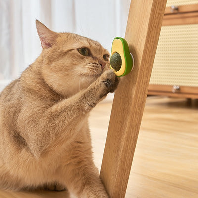 Edible Catnip Balls Rotating Lickable Bubbles Fun Healthy Treats