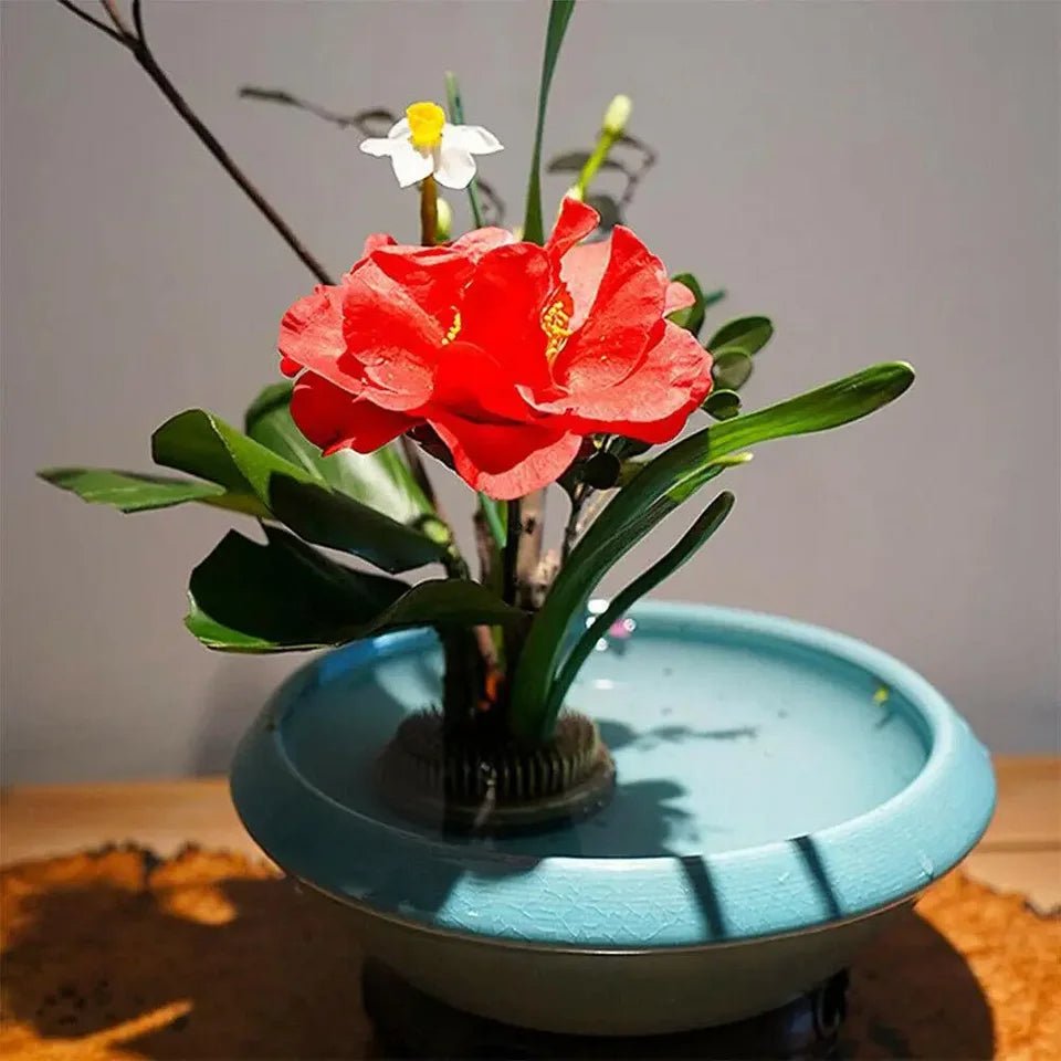 Ikebana Kenzan Flower Holder Round Spiky Frog For Floral Arrangements