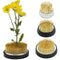 Ikebana Kenzan Flower Holder Round Spiky Frog For Floral Arrangements