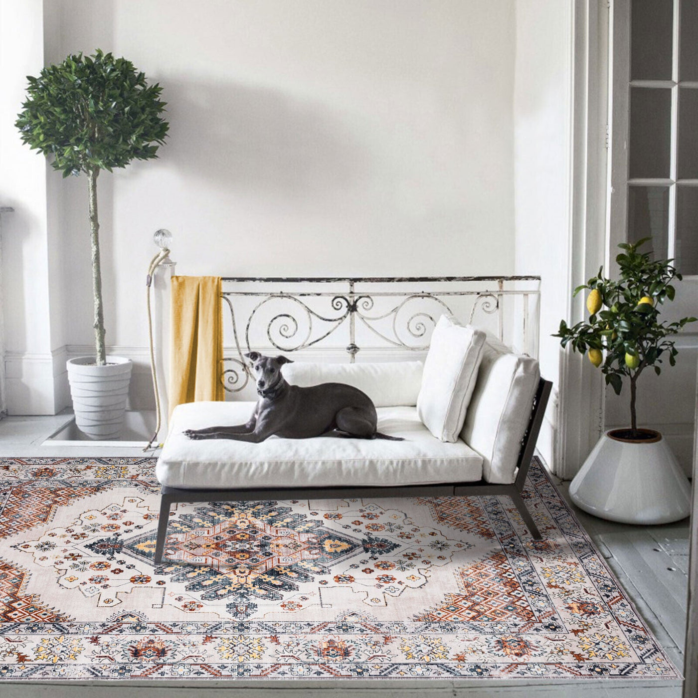 Machine Washable Rugs For Easy Cleaning And Durable Use