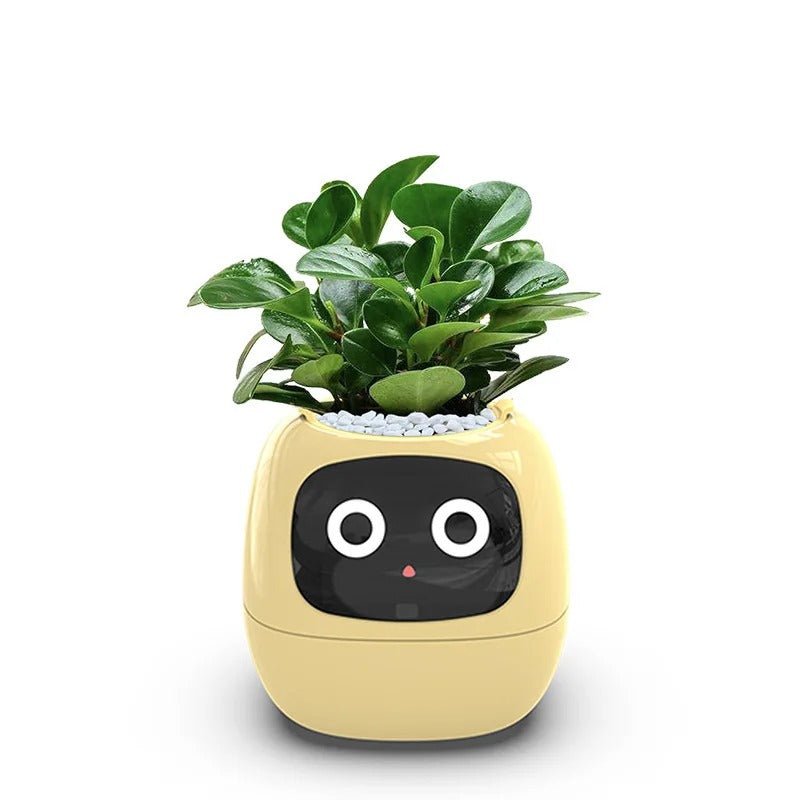 7 Sensors Smart Planter With Ai Chips For Easy Plant Care