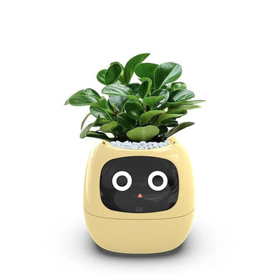 7 Sensors Smart Planter With Ai Chips For Easy Plant Care
