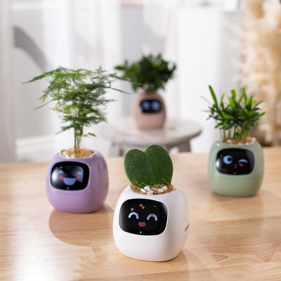 7 Sensors Smart Planter With Ai Chips For Easy Plant Care