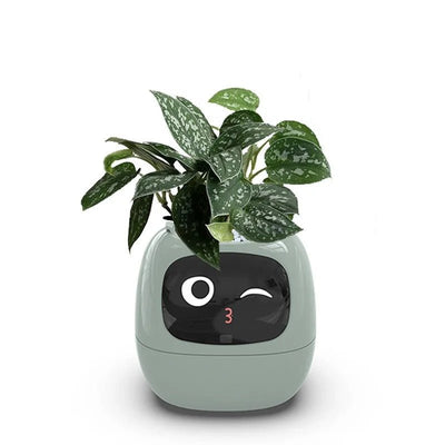 7 Sensors Smart Planter With Ai Chips For Easy Plant Care