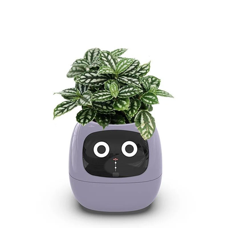 7 Sensors Smart Planter With Ai Chips For Easy Plant Care