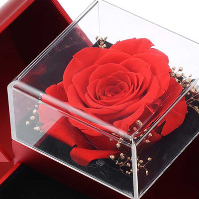 To My Love Necklace With Real Rose Romantic Gift For Her