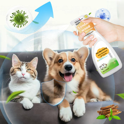 Pet Odor Eliminator Sterilizing Spray For Strong Odors
