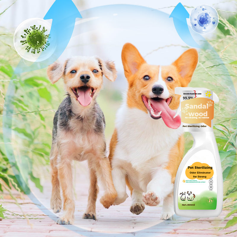 Pet Odor Eliminator Sterilizing Spray For Strong Odors