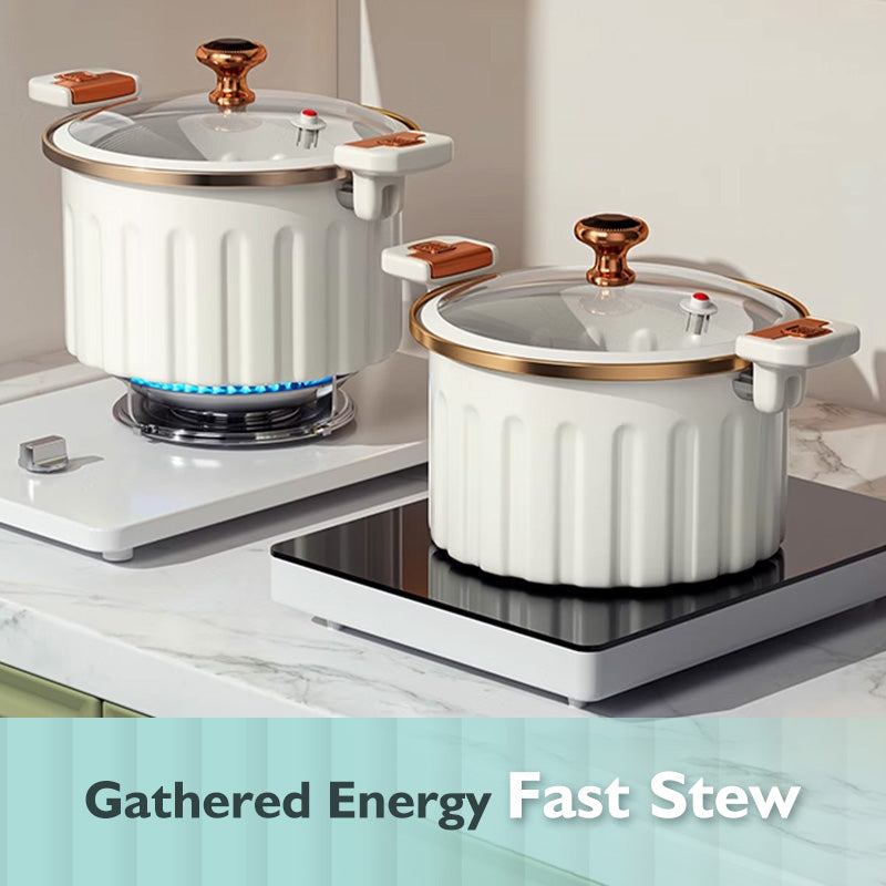 Multifunctional Non-Stick Micro Pressure Cooker For Easy Cooking