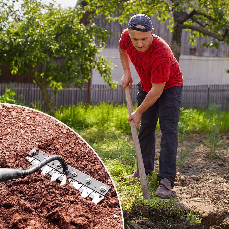 Carbon Steel Garden Weeding Rake With 5 To 8 Teeth Durable Design